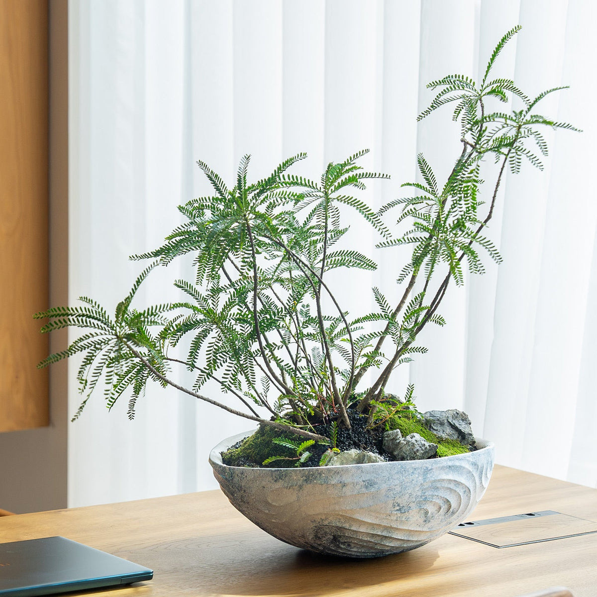 Plant Pot in Textured Ceramic with Hand-Shaped Wave Relief